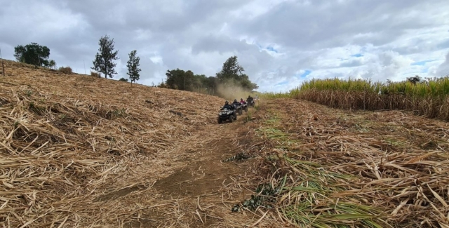  Realiza una expedición en cuatrimoto con un instructor profesional 