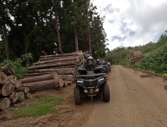  camicrema en cuatrimoto a partir del 17 de marzo de 2024 (24) 