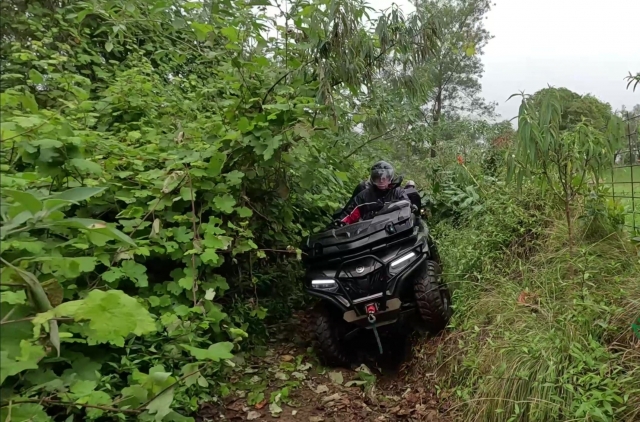  La exuberante vegetación de los bosques que bordean Saint-Paul