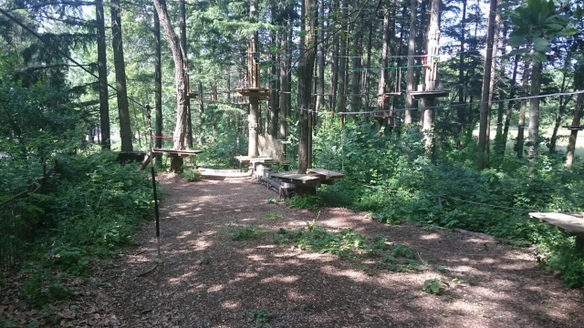 Encuéntrale en el bosque de Jaujac 