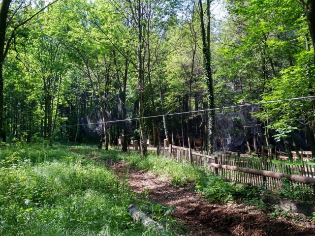  Verde, sol, aire libre, todo se junta para pasar un momento mágico 