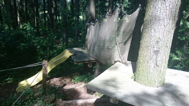  Desafía los obstáculos de trepar a los árboles 