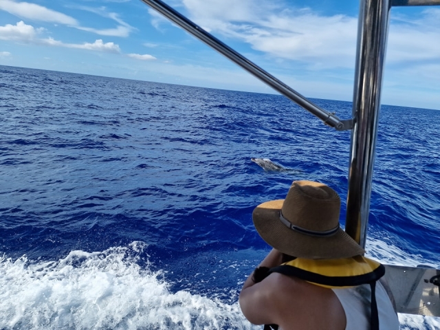  Venga a llenarle de sol y aire de mar 