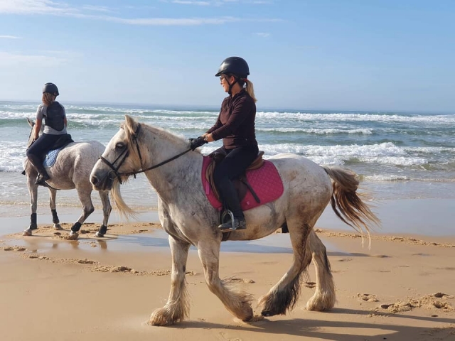 Sal duranle 1 hora para un paseo a caballo excepcional 