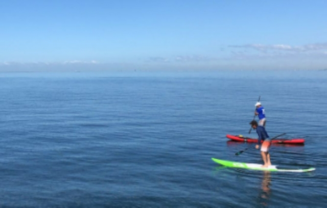 Sesión de paddle board con un instructor titulado 