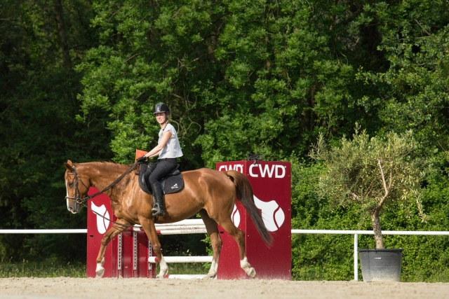 Sensación de libertad sobre su montura