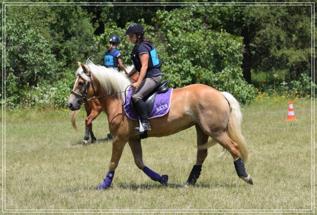 Haga una excursión en la naturaleza