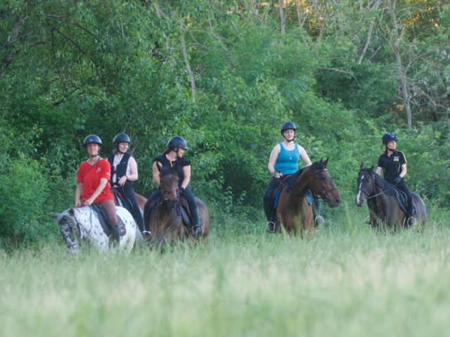  Sensación de libertad sobre su caballo 