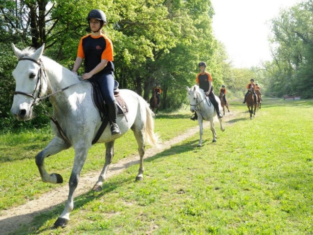  Haga una excursión al aire libre 