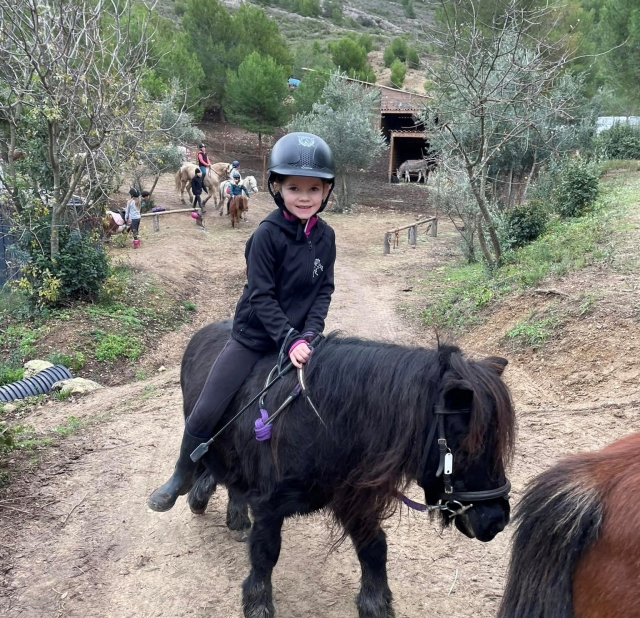  Venga a descubrir nuestros ponis 