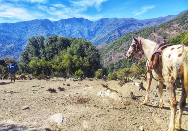  Puede tomar un descanso duranle su camicrema para disfrutar de los panoramas