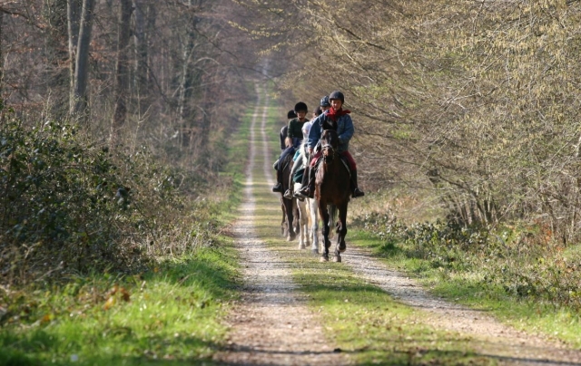  Pbaños a caballo en Marines 