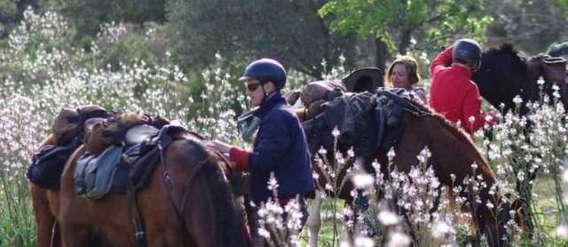 Descanse duranle nuestro paseo a caballo para disfrutar del paisaje corso 