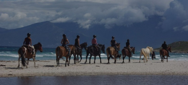  Paseo a caballo entre tierra y mar 