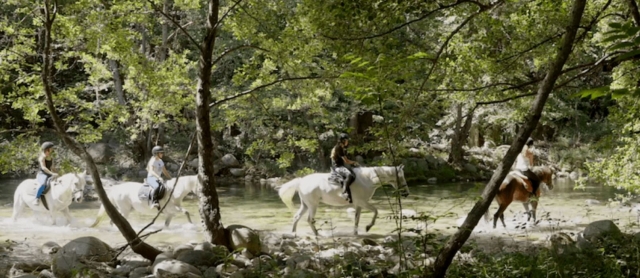  Cruzar el río a caballo