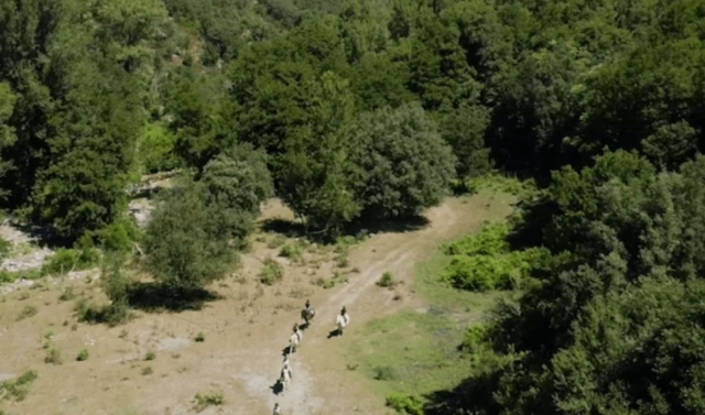  Un espectacular paseo a caballo en Corle 