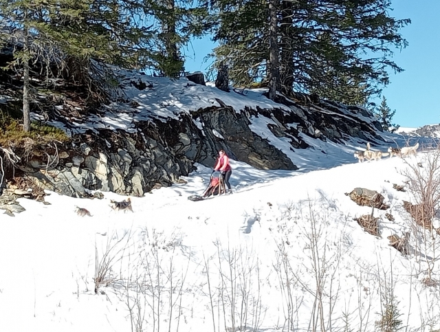 Aléjale de la vida cotidiana, déjale transportar por la magia del mushing 