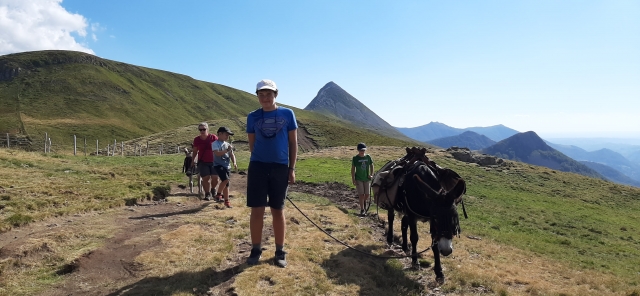  Camina junto a nuestros burros o pony 