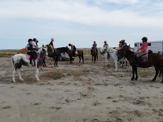  Saldremos en un grupo reducido para realizar una actividad amistosa 