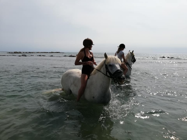 Pbaños a caballo junto al mar 