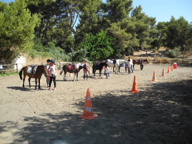  Preparación para un paseo en pony en grupo