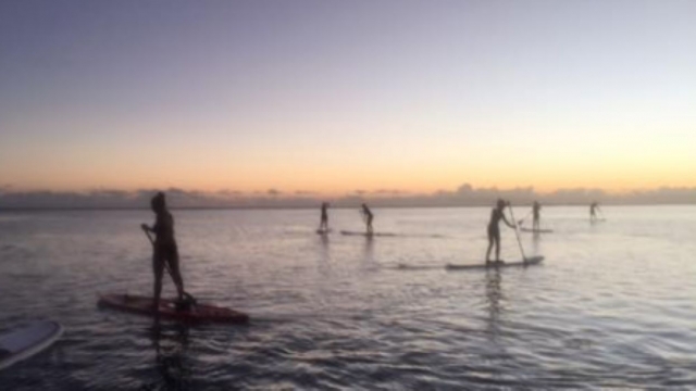  Benefíciale de la experiencia de nuestros monitores duranle una clase de paddle board en grupo 