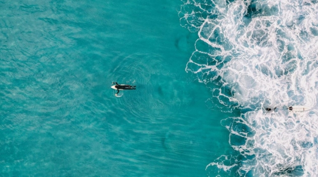  Admire la vida salvaje en el agua