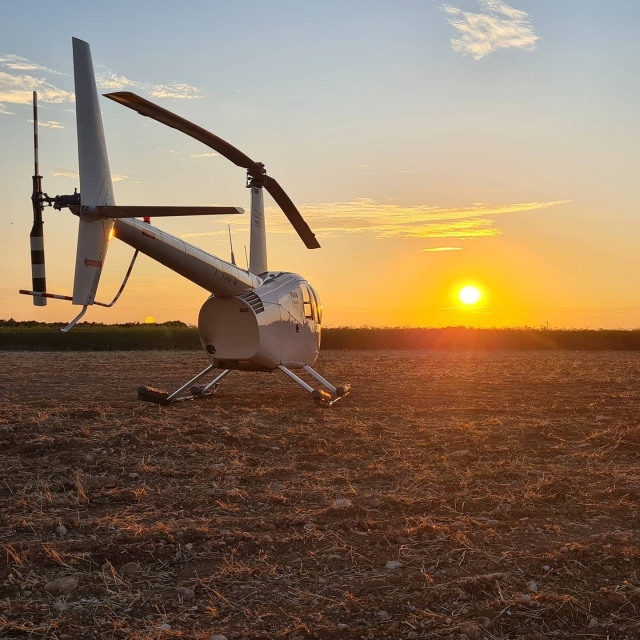 Aviones de alta calidad a su disposición