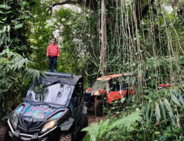  Sesión de buggy con un instructor certificado por el estado 