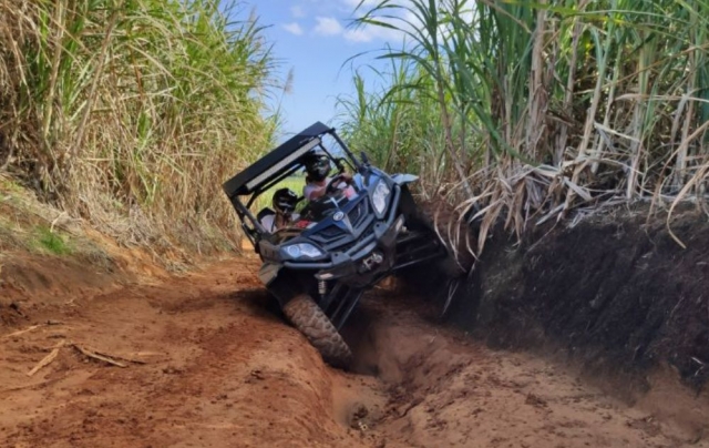  Randonnée en Buggy à San Pedro