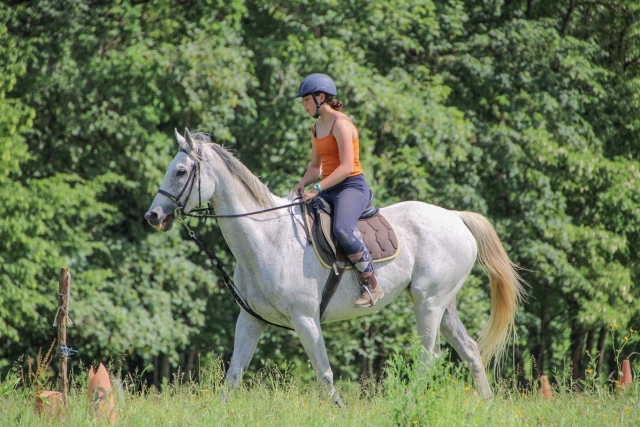  Pbaños a caballo por el campo