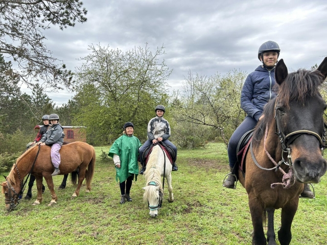  Todo el mundo está preparado para ello paseo a caballo memorable
