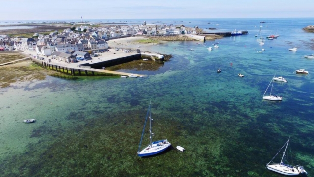  Paseo en yale o velero 