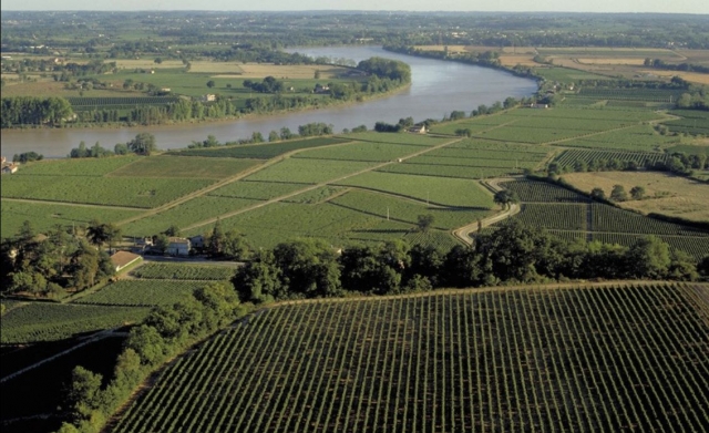 Pruebe el vino con una vista panorámica espectacular 