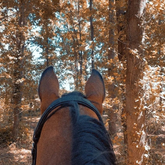 Pbaños a caballo en otoño