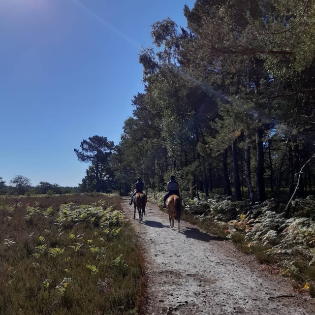 Paisajes únicos y fantásticos de Longvilliers
