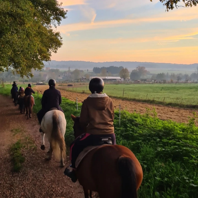 Inmersión en un lugar excepcional de Yvelines a caballo