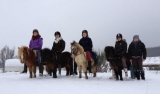 Paseo en poni - Bosque de Rochefort 1/2 hora