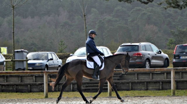  Su equitación instructor duranle pbaños en pony