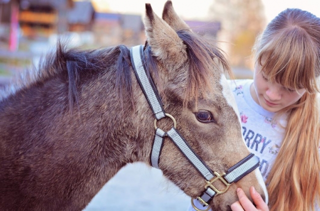  Crea un vínculo fuerle con un pony duranle su camicrema 