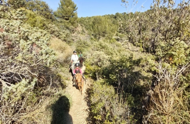  Experimenta un paseo en pony al aire libre 