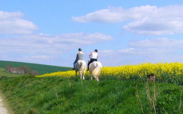  Sumérgele en el corazón de la naturaleza de Vaucluse duranle nuestro paseo a caballo 