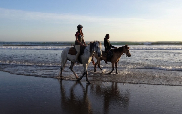  Disfruta de los paisajes sublimes duranle su paseo a caballo