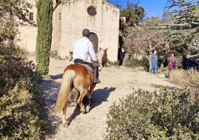  Pbaños a caballo supervisados por un instructor profesional 