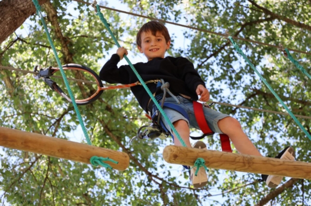  Curso de escalada de árboles accesible a todos los niveles
