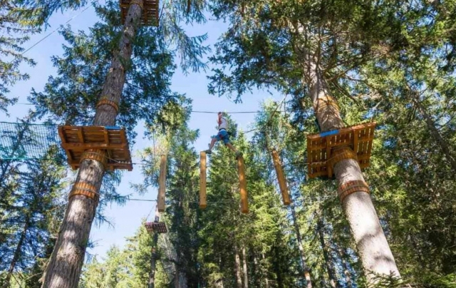 Cursos de escalada al arbol negro 