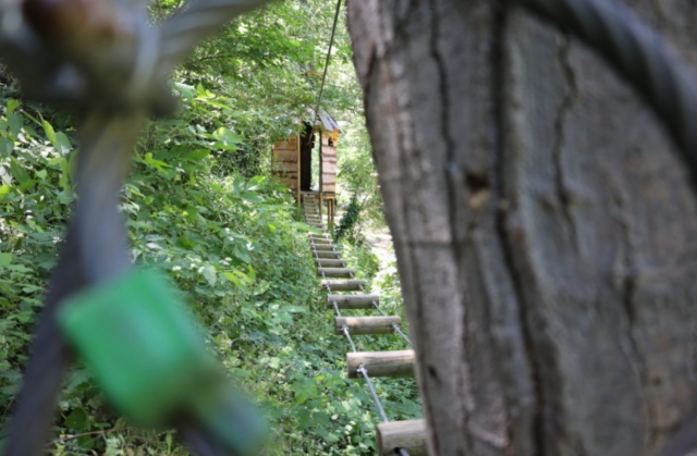  Sesión de escalada de árboles para adultos en Marquinaxes 