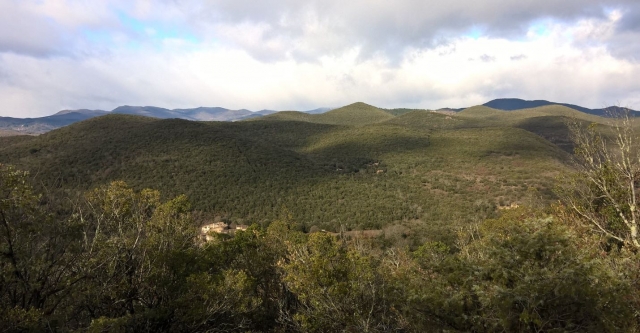  Paisaje sublime del Gard