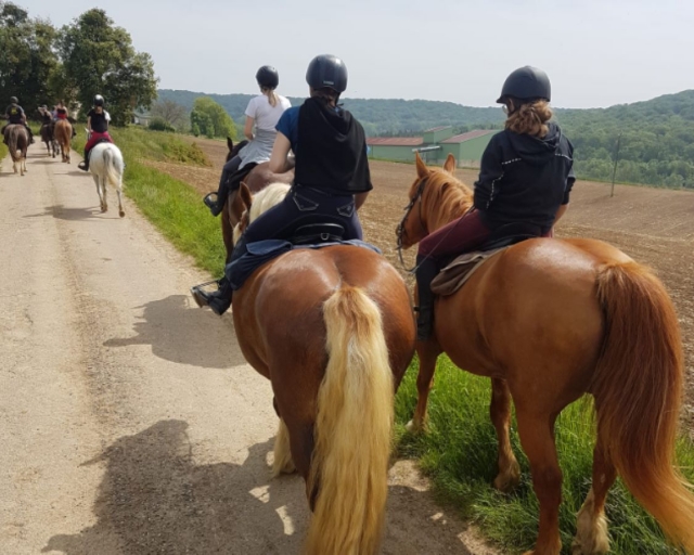 Pbaños a caballo accesibles a todos los niveles 
