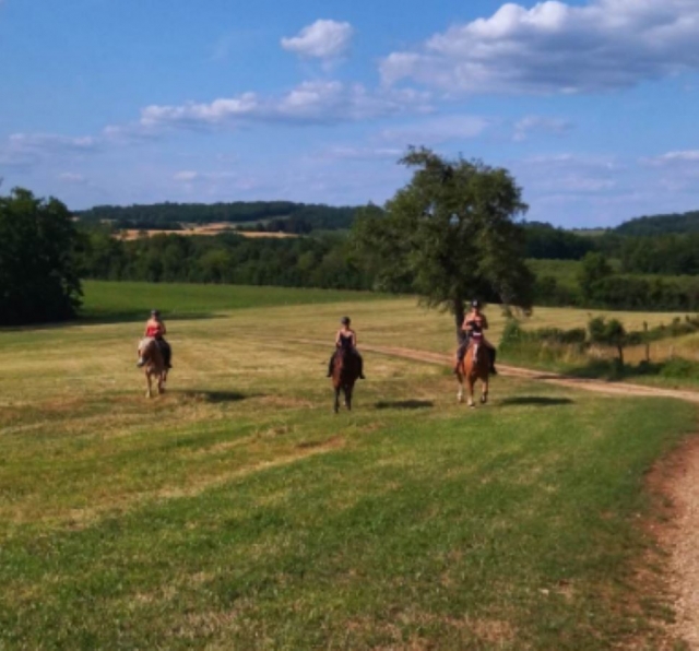  Disfrule de un panorama único duranle su paseo a caballo 